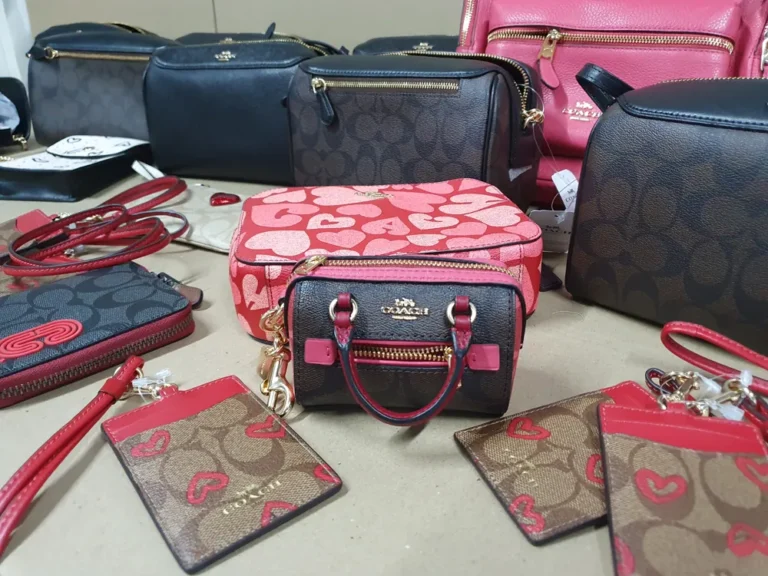 coach หมอน mini